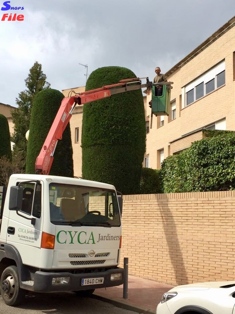 Cyca Jardiners Spain Europe